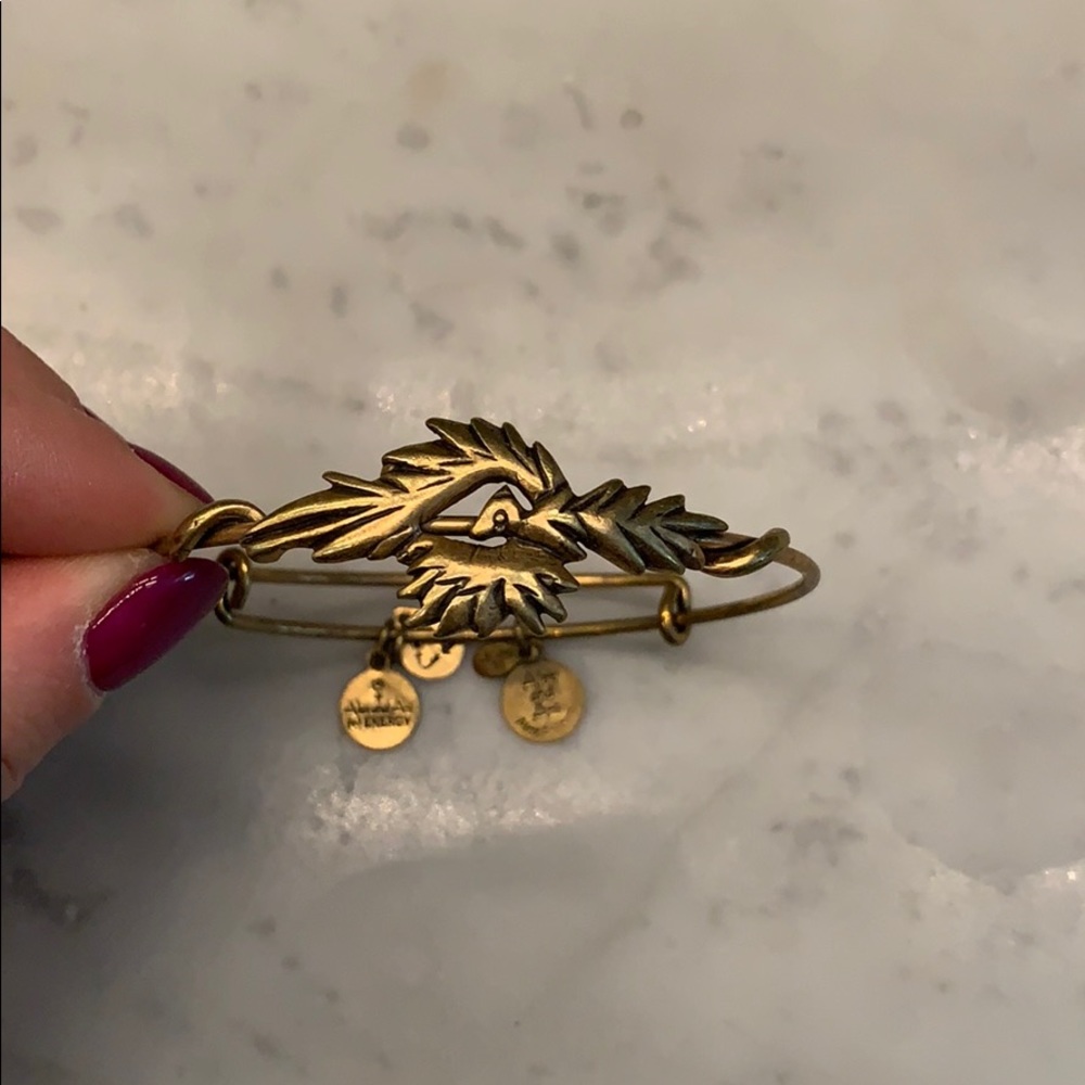 Alex and ani Phoenix bracelet